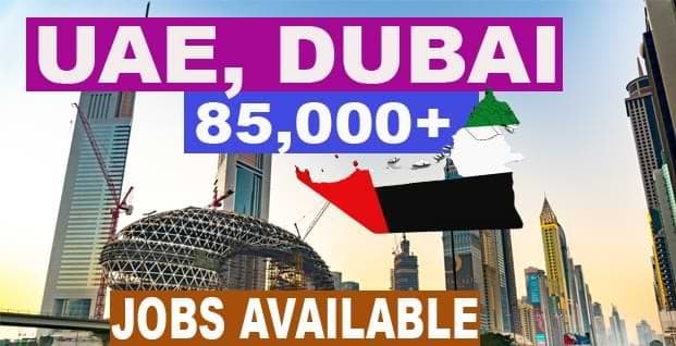 وظائف جديدة في دبي: فرص عمل مثيرة للاهتمام